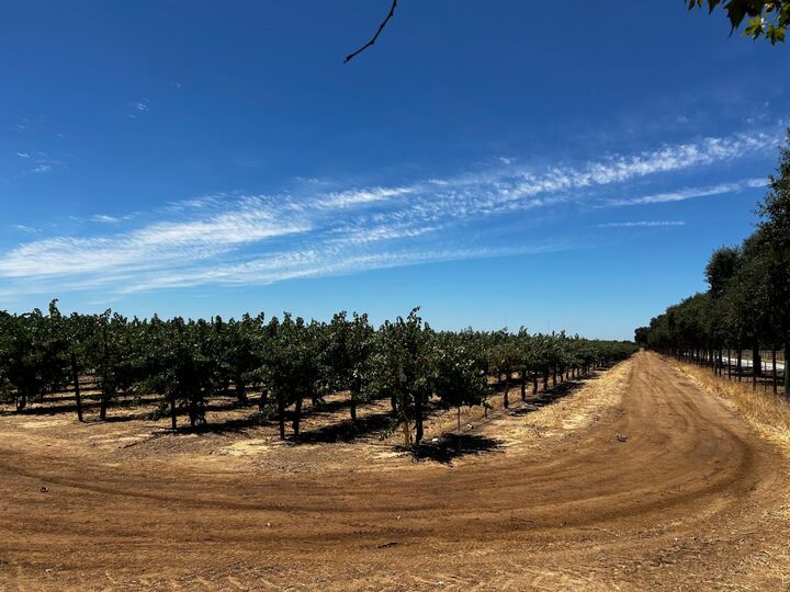 Property Photo:  838 Lyonia Drive  CA 95632 