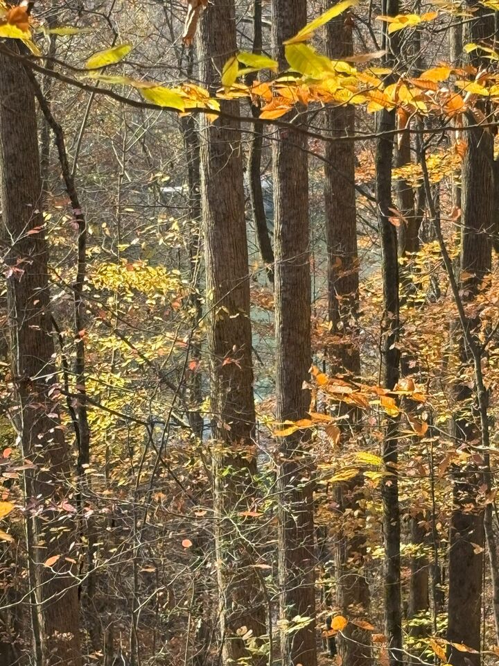 Property Photo:  0 Old Tullahoma Rd  TN 37330 
