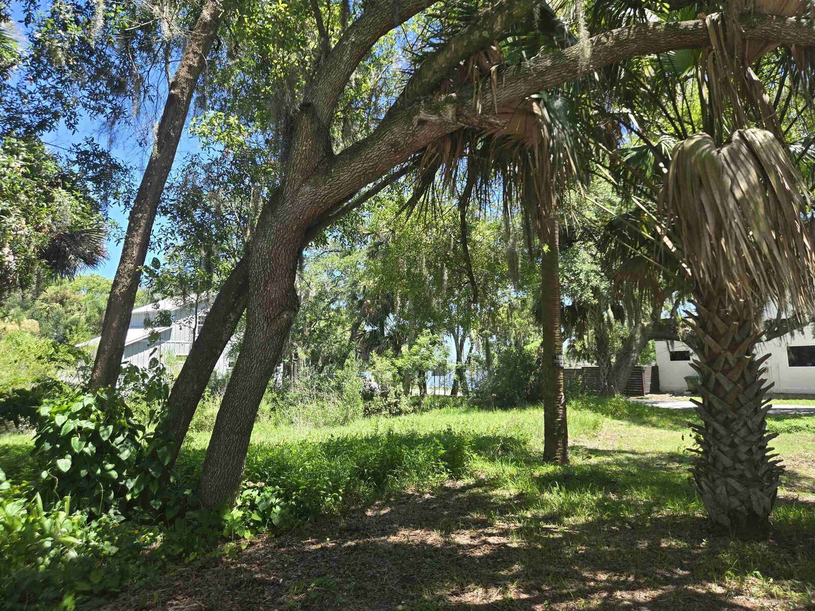 Property Photo:  27 Davis St  FL 32084 