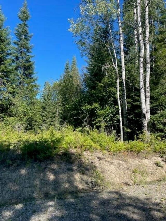 Property Photo: 3xx Lot 13 N Leclerc Rd WA 99139