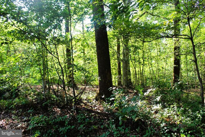 Property Photo:  Mandeville Road  MD 21085 