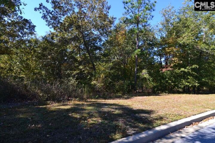 Property Photo: 121 Montgomery Ridge 4 SC 29016