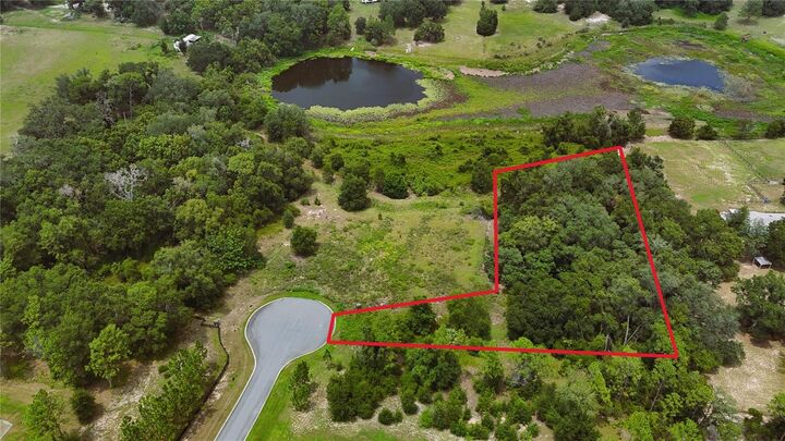 Property Photo:  000 Darlington Avenue  FL 32159 