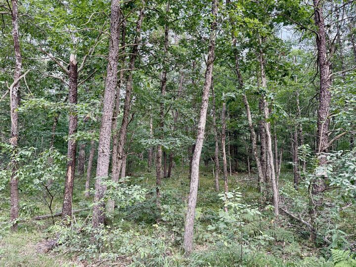 Property Photo:  2A Steinberg Road  MI 49660 