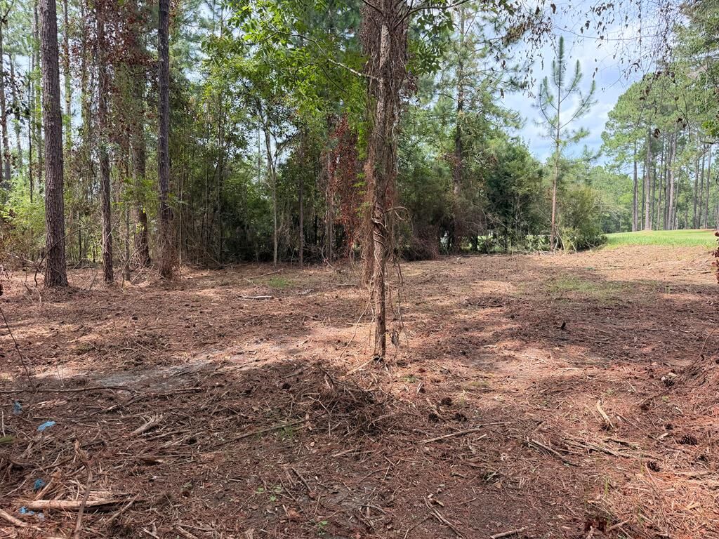 Property Photo:  115 Northlake Drive  GA 31791 