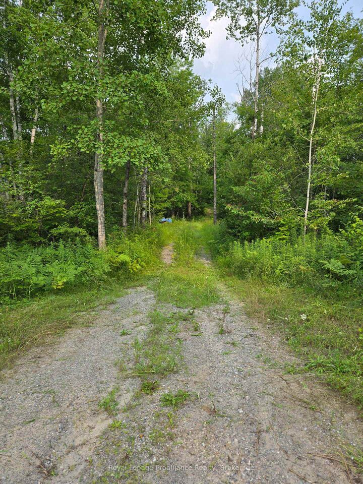 Property Photo:  1446 Flinton Road  ON K0H 1P0 