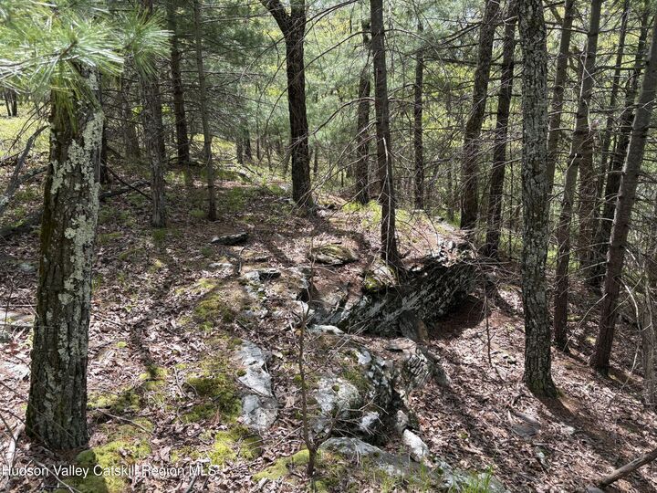 Property Photo:  Tbd Route 28A  NY 12491 