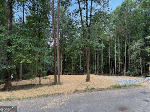 Property Photo:  Lot 195 Shenendoa Drive 195  GA 30540 