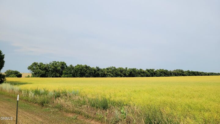 Property Photo:  Tract 5 On 66th Street SE  ND 58504 