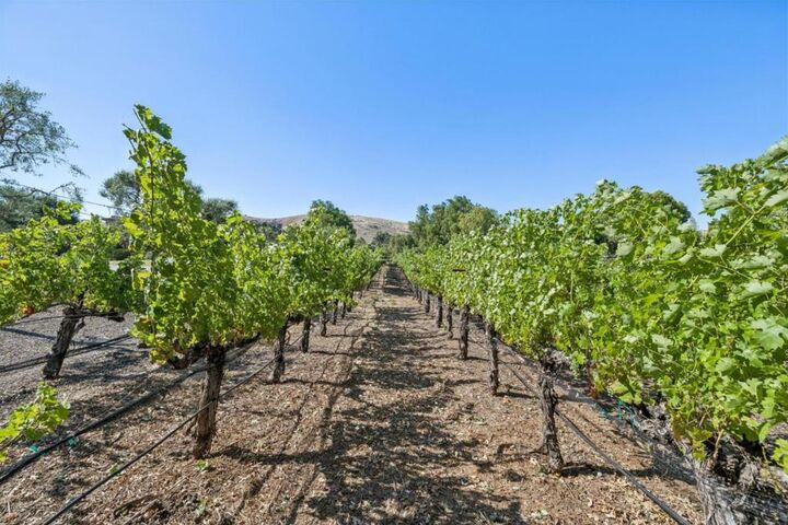Property Photo:  1295 Lions Peak Lane  CA 95046 