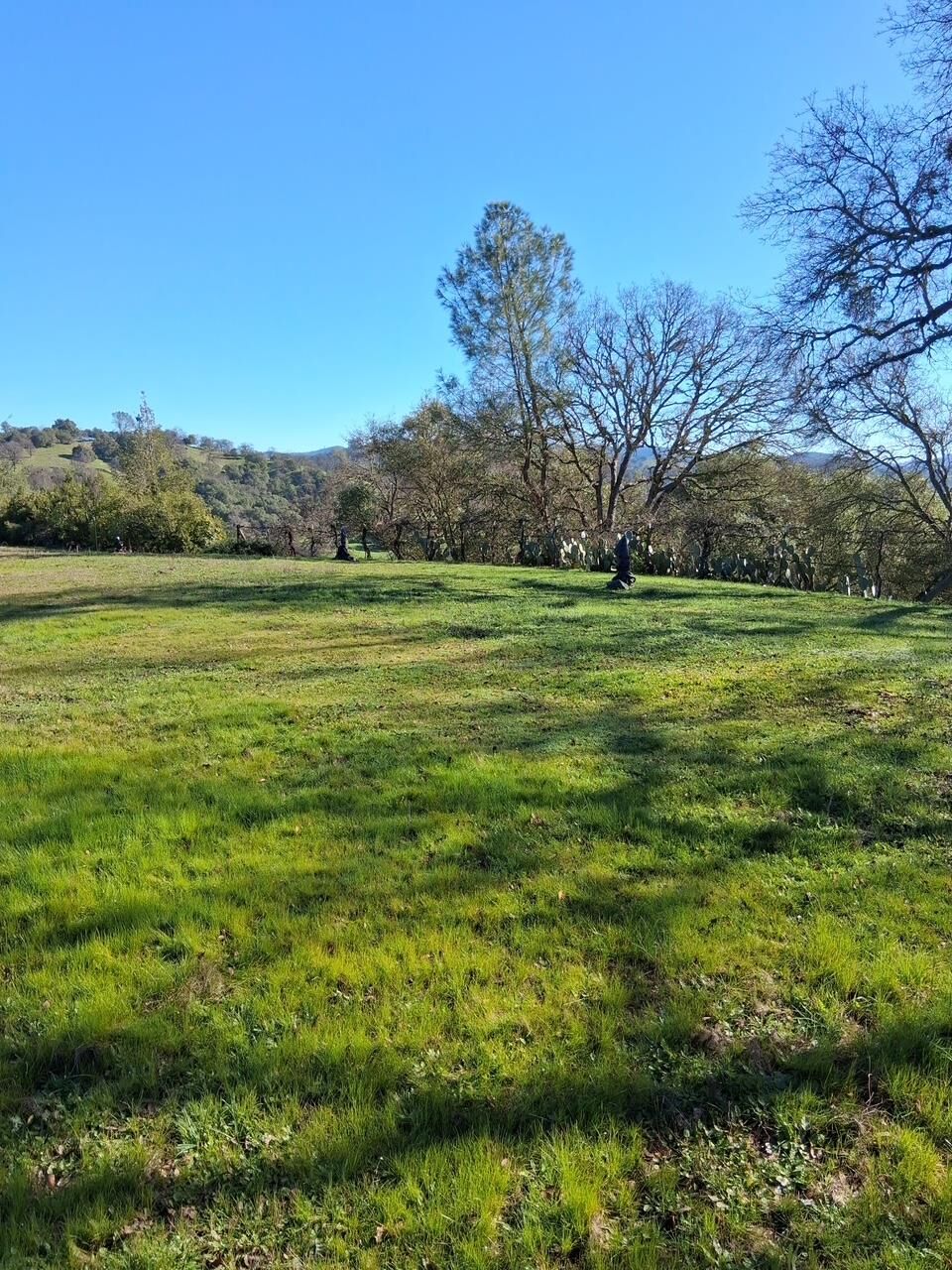 Property Photo:  2708 Golden Gate Drive  CA 95249 