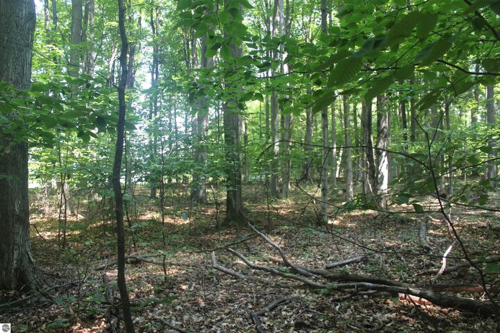 Property Photo: 0 Barnes Road MI 49648