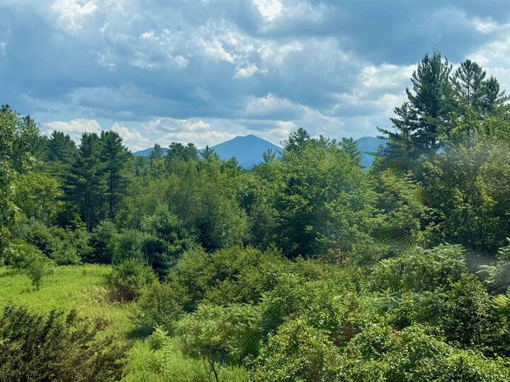 Property Photo:  1123 Snipe Ireland Road  VT 05477 