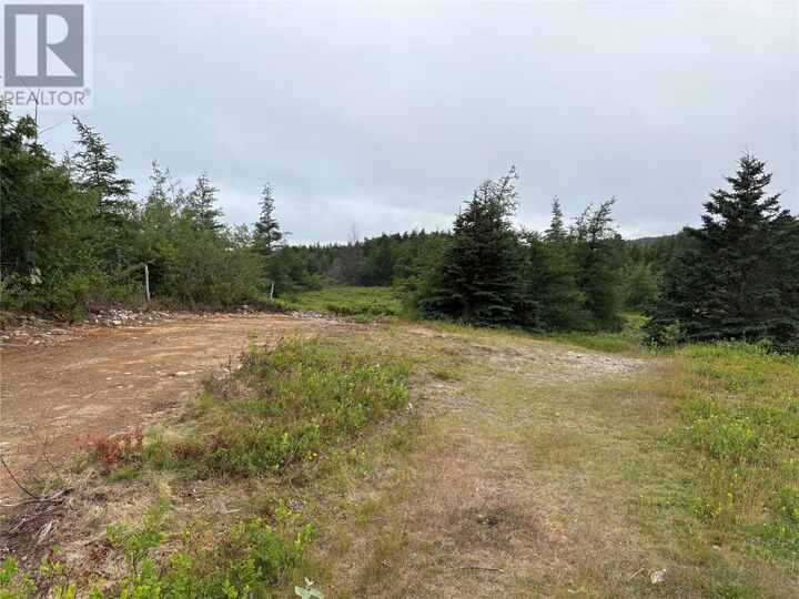 Property Photo:  0 Sod Lane  NL A0A 1W0 