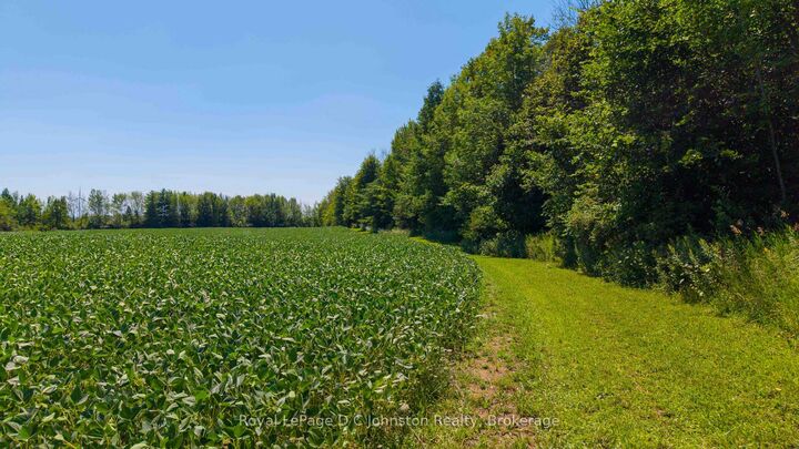 Property Photo:  305 Sideroad 25 N/A  ON N0G 2T0 