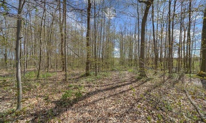 Property Photo:  315529 31st Line  ON N0J 1J0 