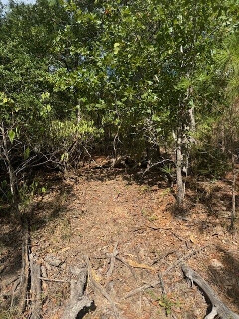 Property Photo:  Lots 1338 And 1339 Tahitian Drive  TX 78602 