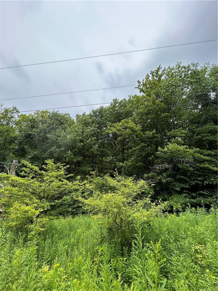 Property Photo:  Lot 13 Grange Hall Road  NY 13820 