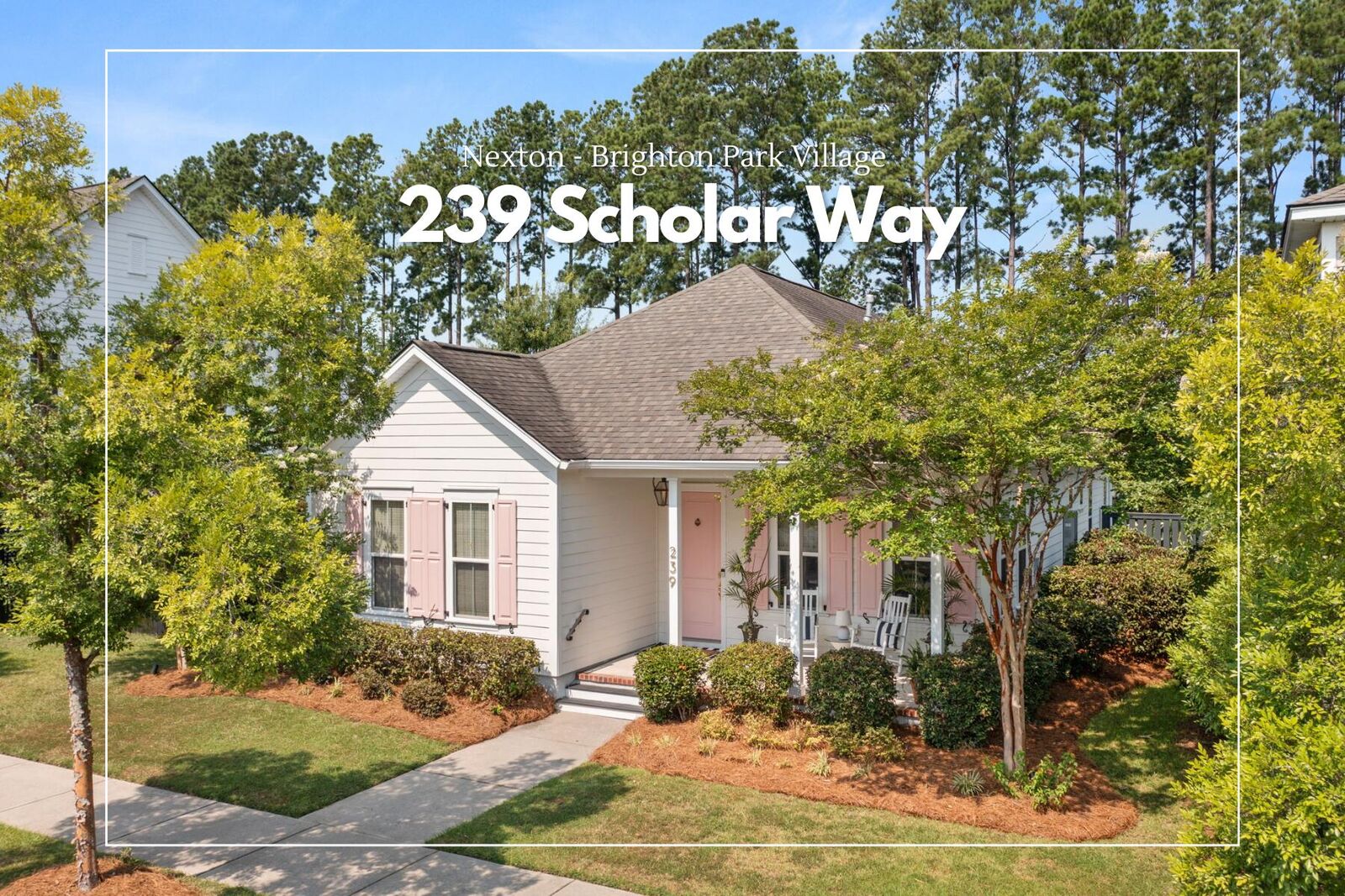 Property Photo:  239 Scholar Way  SC 29486 