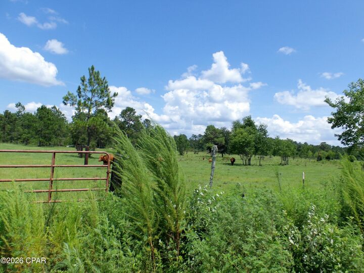 Property Photo: 410 Foxchase Drive FL 32465