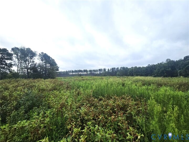 Property Photo: Tbd Rising Sun Road VA 23117
