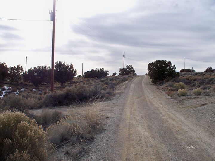 Property Photo: 2811 Osprey Street N NV 89815