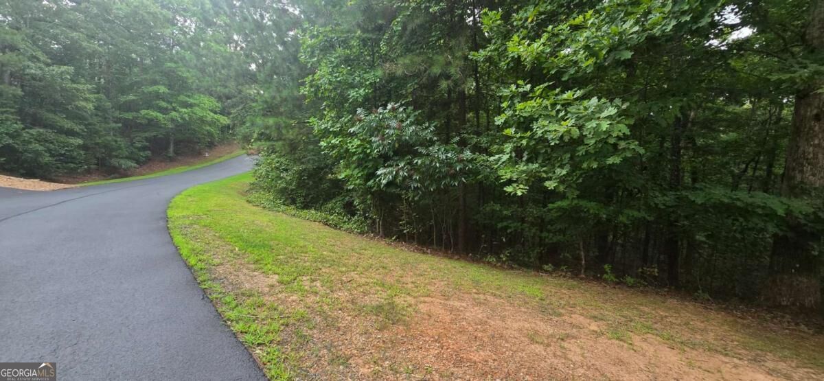 Property Photo:  Lot 9 Harris Creek Drive  GA 30540 