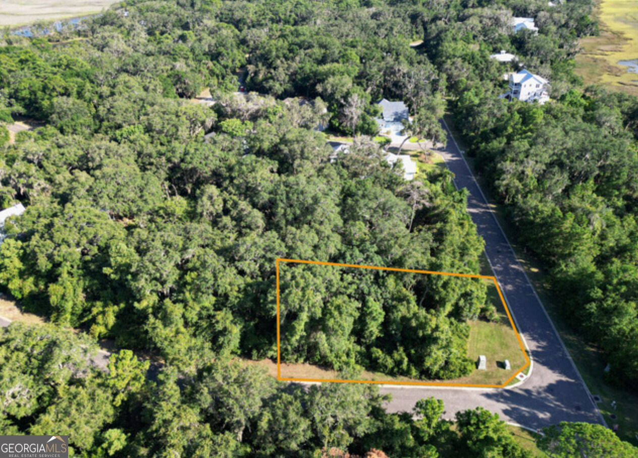 Property Photo: V/L 519 Massias Lane + Campbell Parkway GA 31558