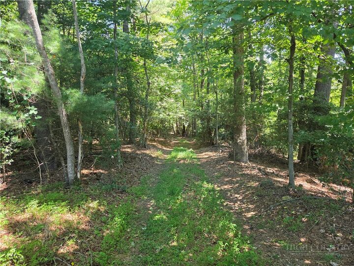 Property Photo: 700 Nelson Lane NC 28651
