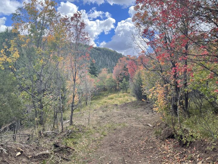 Property Photo:  Lot 129 3200 Subdivision  UT 84772 