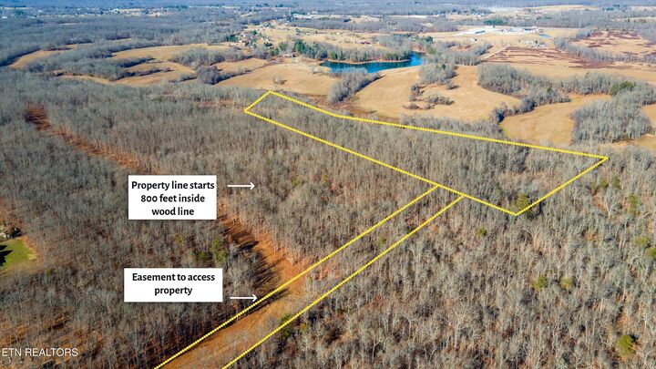 Property Photo:  11.49 Ac Off Stanley Hood Rd  TN 38571 
