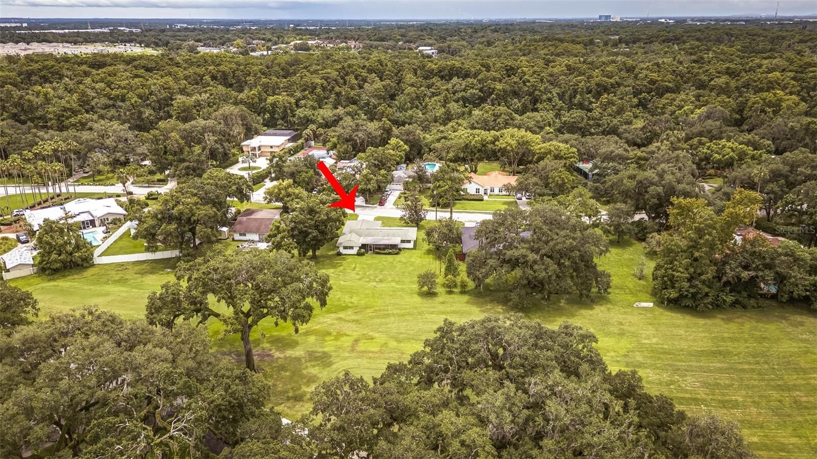 Property Photo: 936 N Riverhills Drive FL 33617