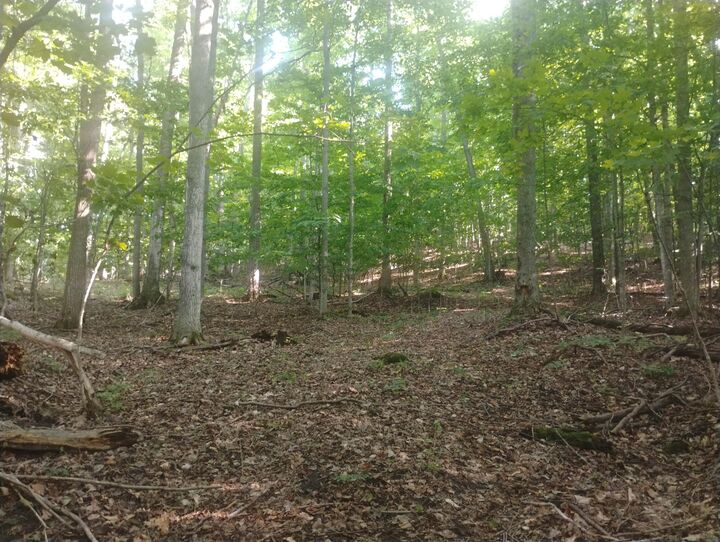 Property Photo:  6383 Lee Road  MI 49727 