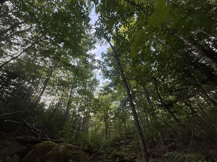 Property Photo:  79 Bear Mountain Way  ME 04915 