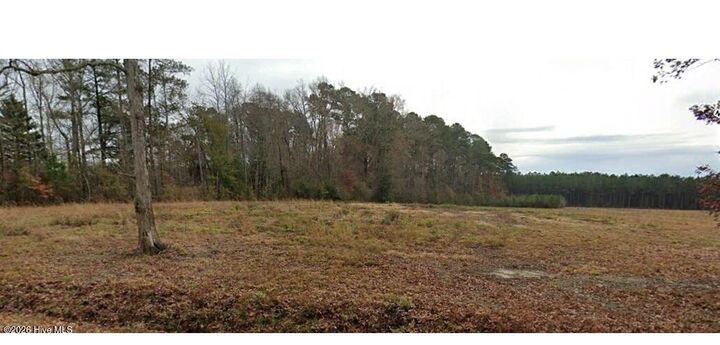Property Photo: 0 Batchelor Road NC 27856