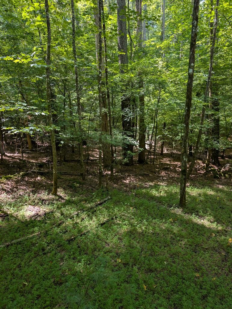 Property Photo:  Lt 3079R Monocle Drive  GA 30540 