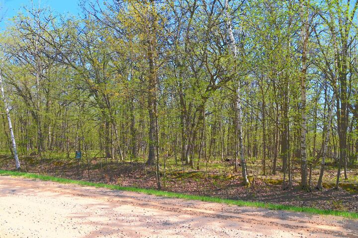 Property Photo: Tbd 392 Street MN 56438
