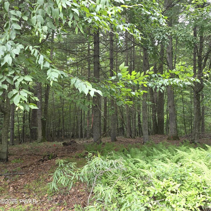 Property Photo: Winfield Lot 4 Winfield Road PA 18457