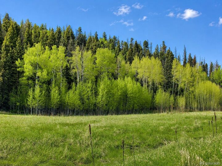 Property Photo:  Lot 1 Co Rd 358  CO 81252 