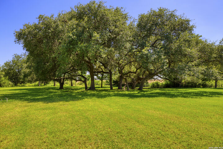 Property Photo: 433 Mills Ln TX 78801