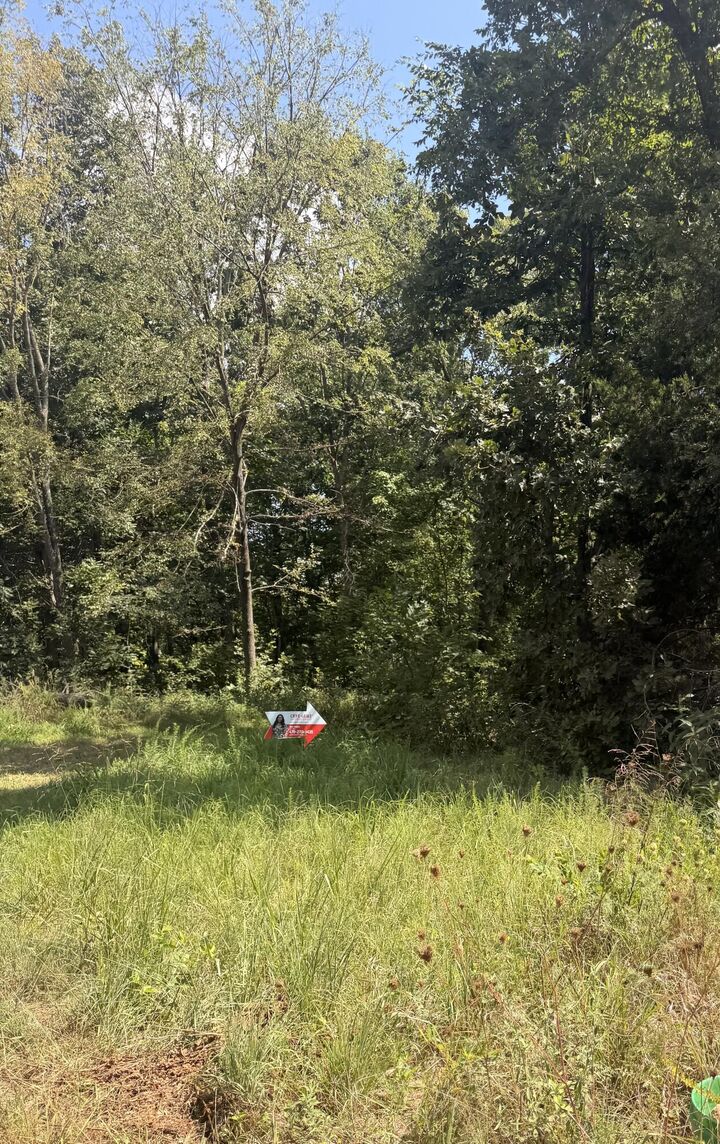 Property Photo: 000 Buford Road MO 64854