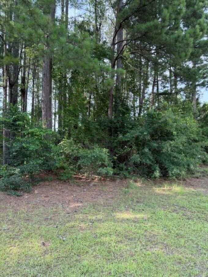 Property Photo:  2140 Watersong Run  SC 29150 