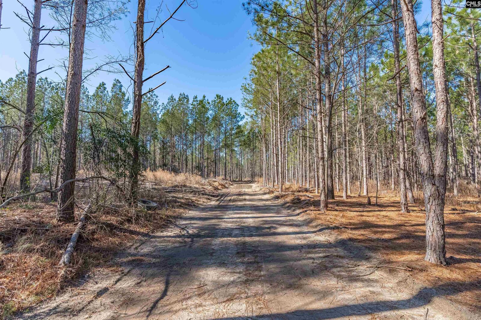 Property Photo:  Lot 3 Fairview 008200-07-010  SC 29006 