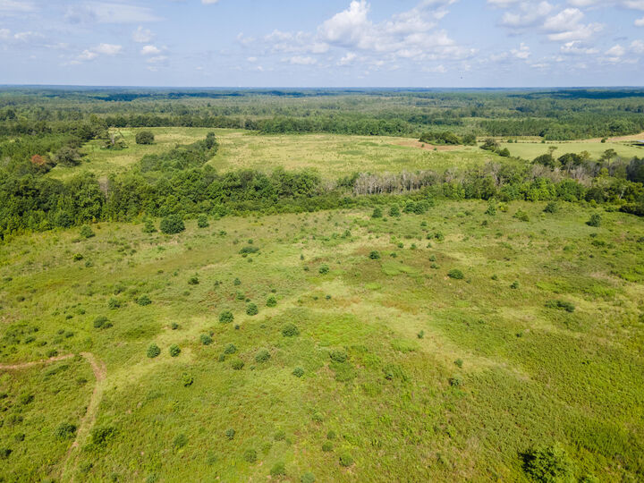 Property Photo: Lot 5 Campbell Road FL 32435