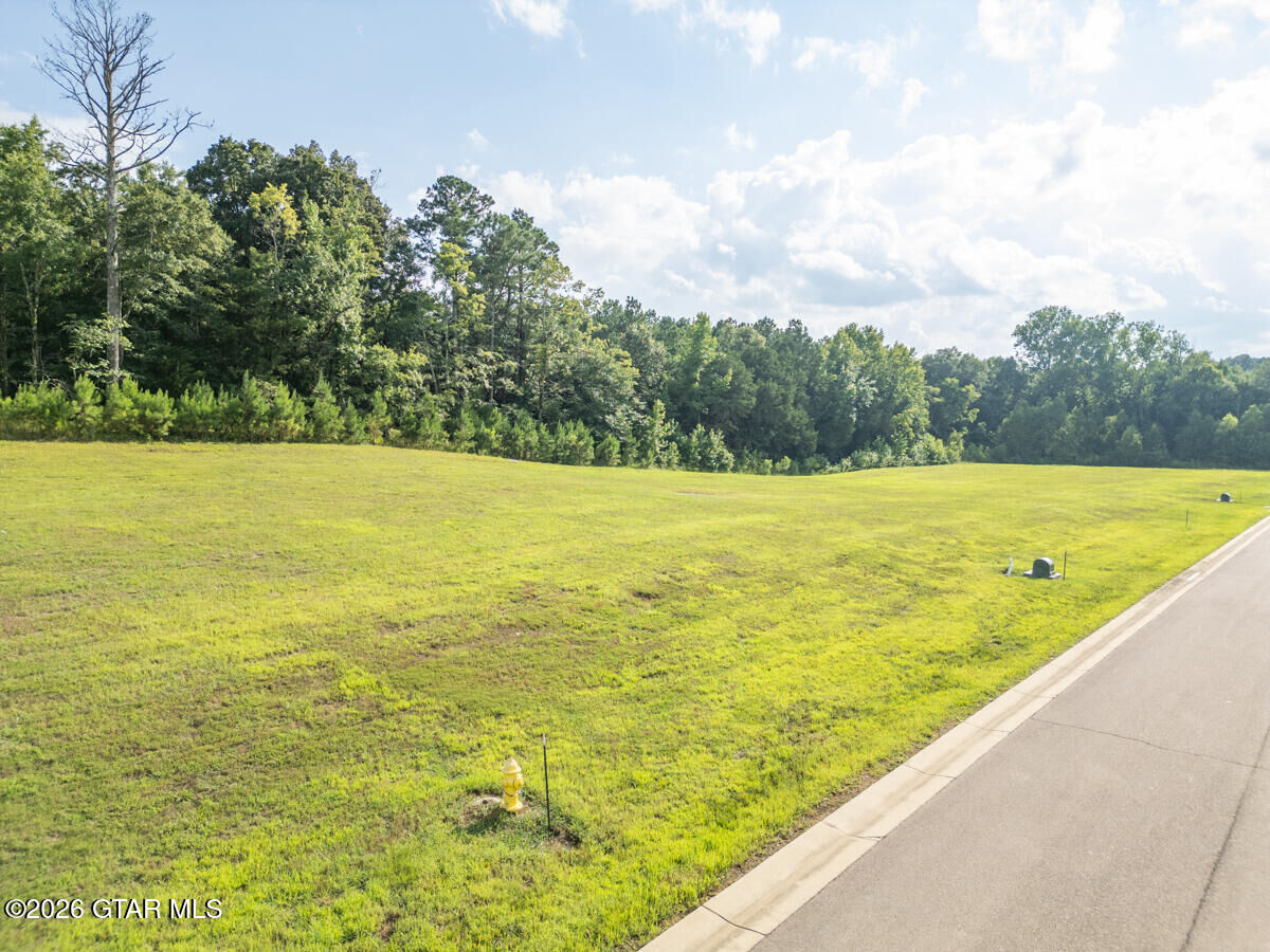 Property Photo: 133 Huxley Drive MS 39759