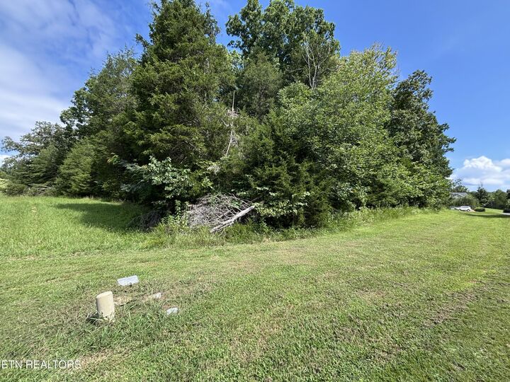 Property Photo:  Bay Shore Drive  TN 37854 