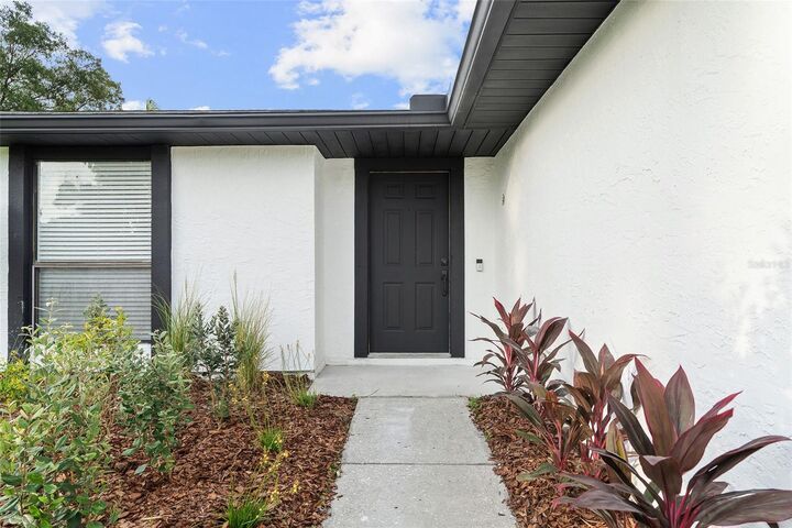 Property Photo:  5308 Black Pine Drive  FL 33624 