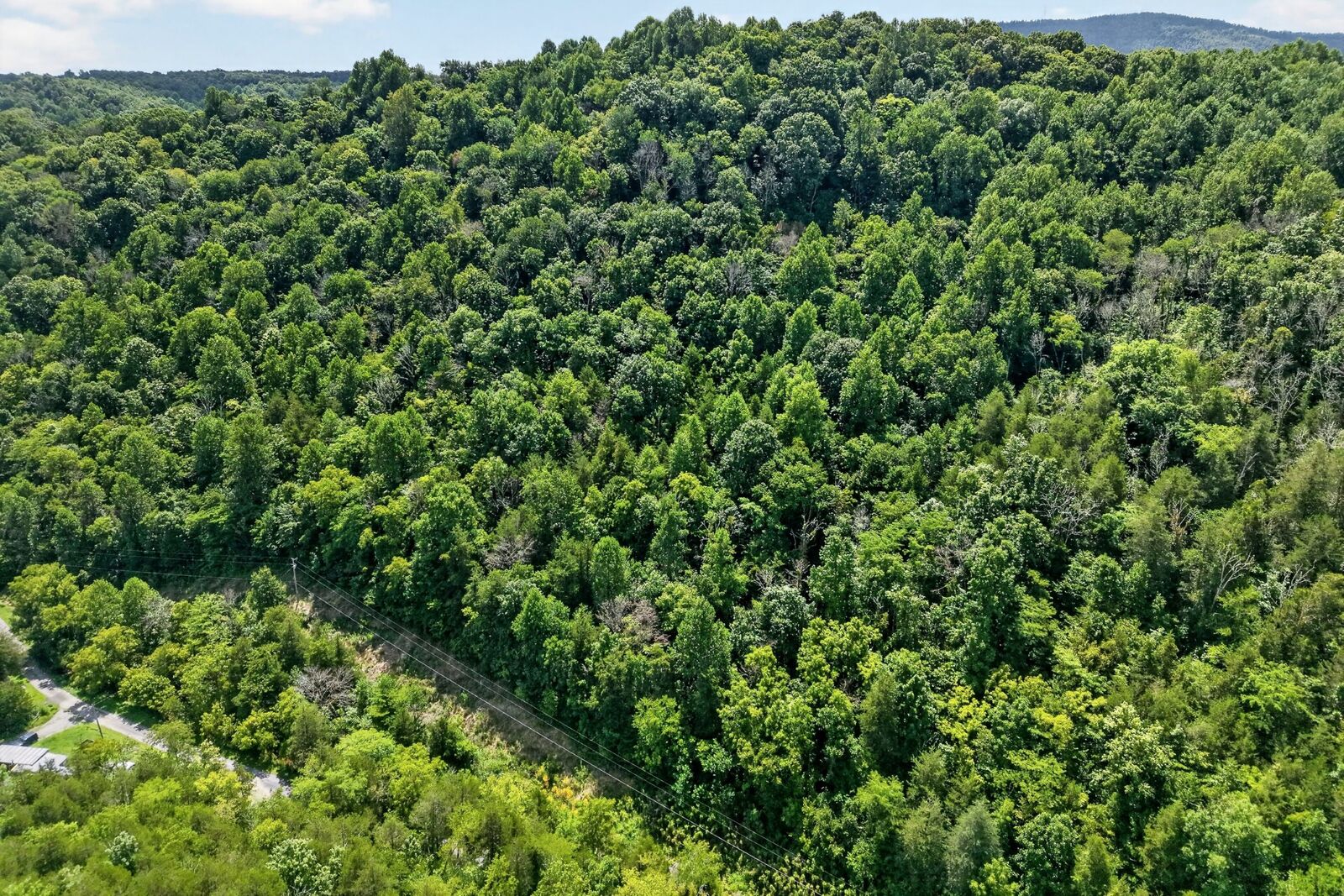 Property Photo:  2949 Wilmouth Creek Rd  TN 37095 