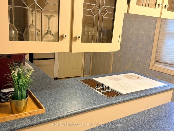 Property Photo:  217 Creek Street  ON N8A 4C1 