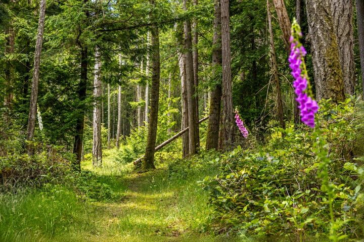 Property Photo: 2-861 Bluff Road BC V0N 1P0